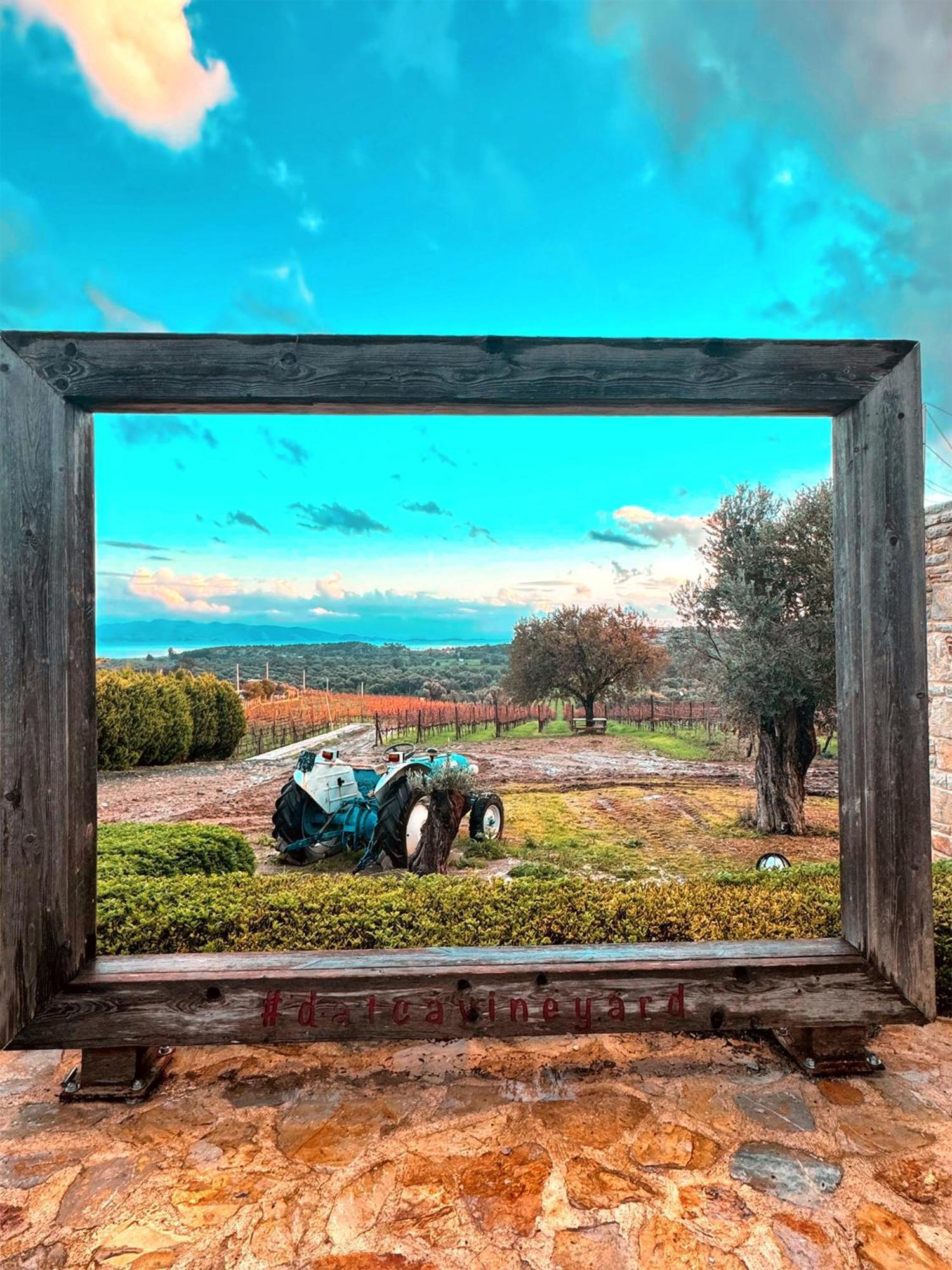 Datça Vineyard Exterior foto