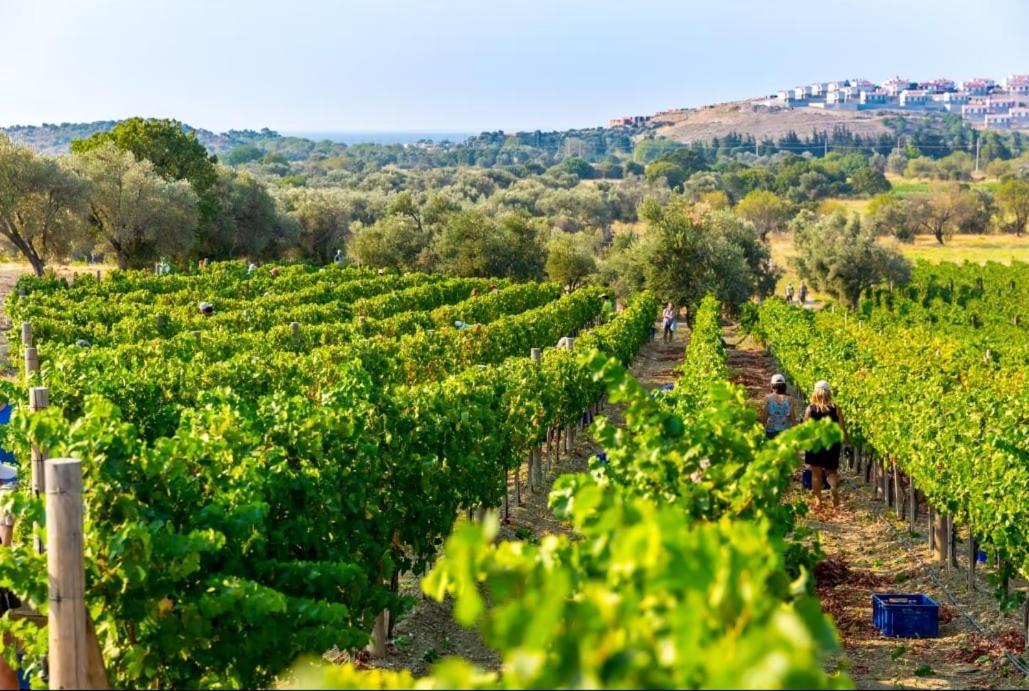 Datça Vineyard Exterior foto