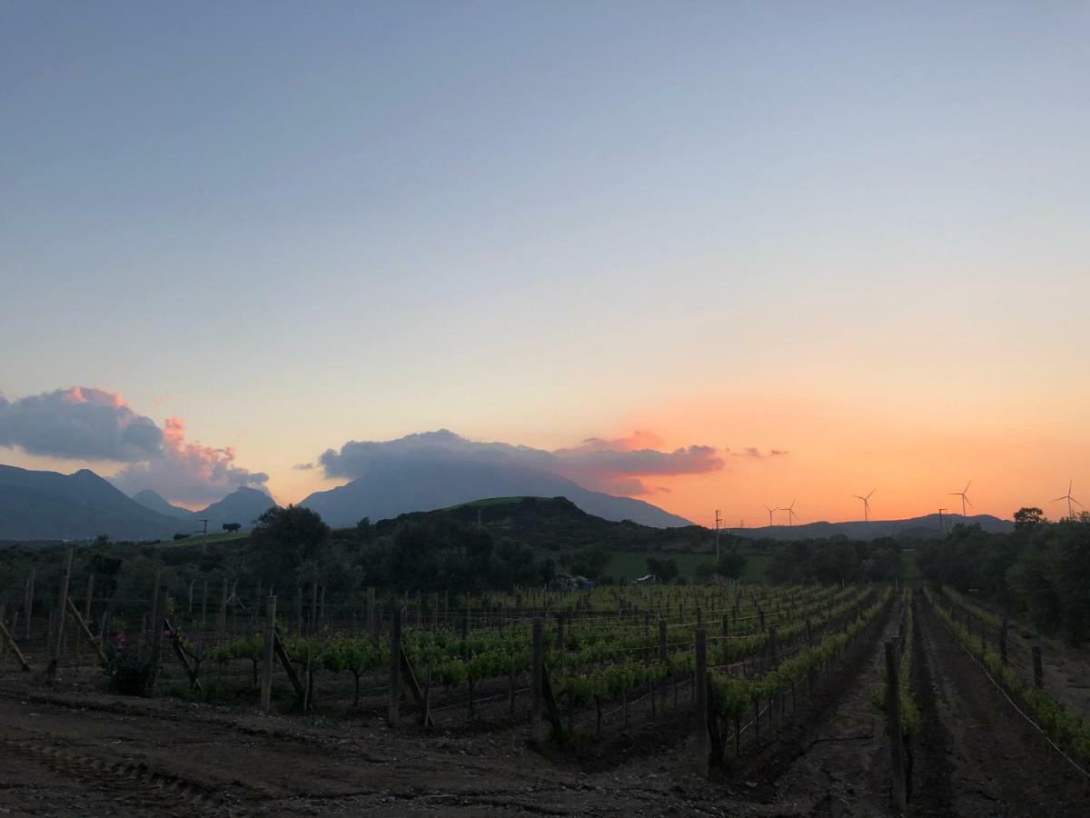 Datça Vineyard Exterior foto